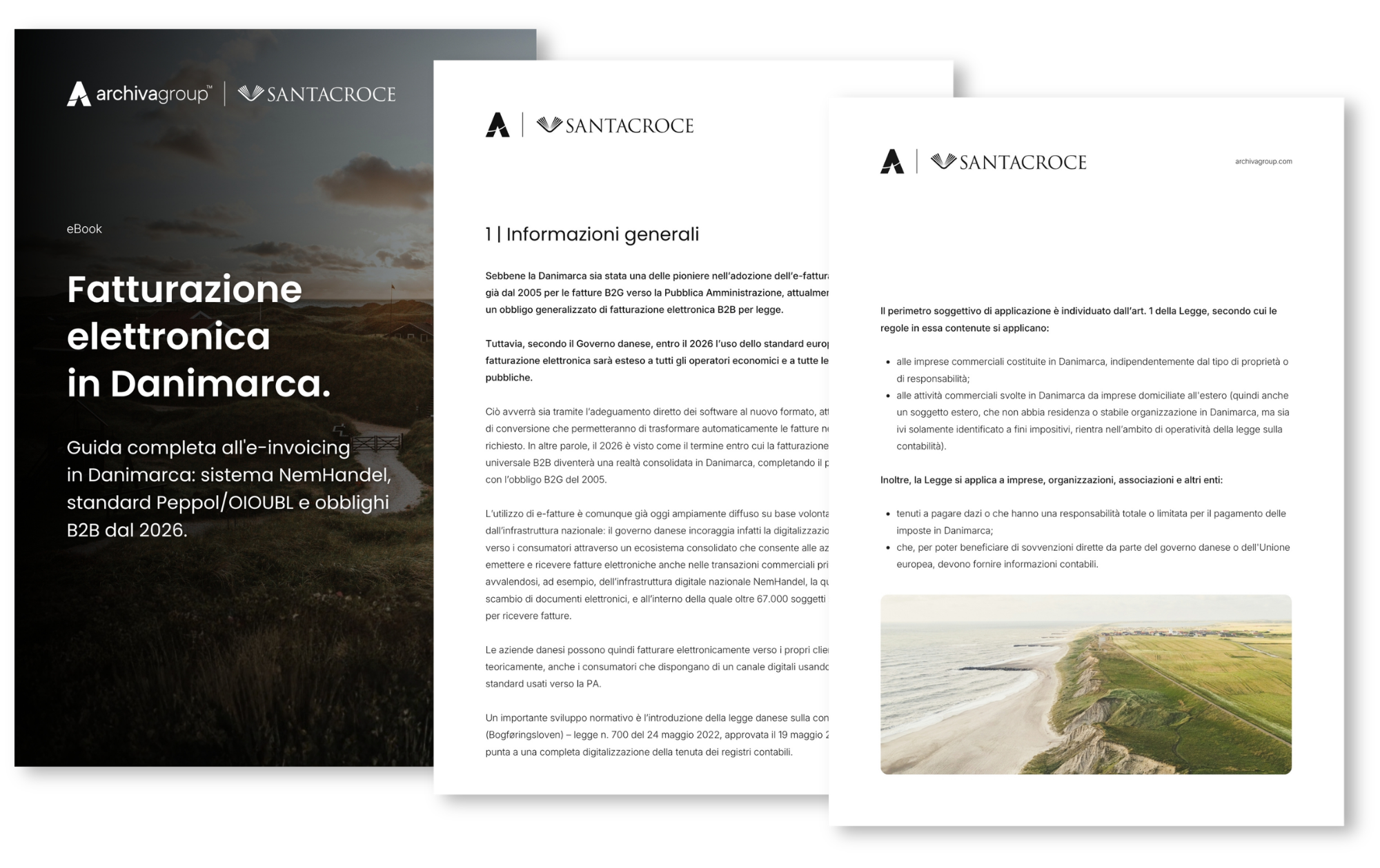 Ebook_Preview_E-Invoicing Danimarca