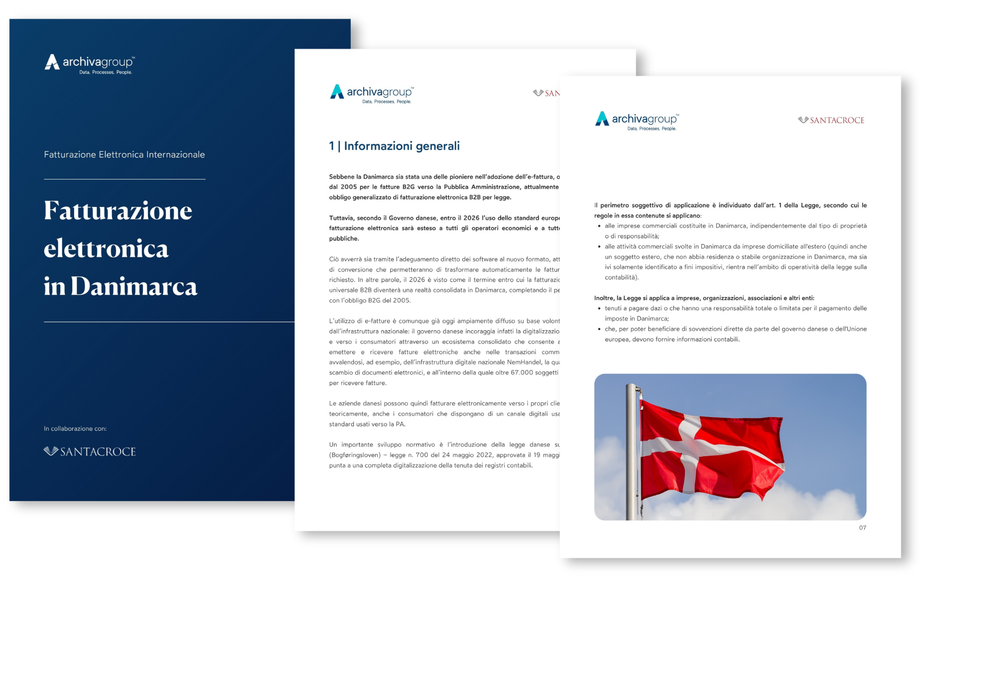 Ebook_Preview_E-Invoicing Danimarca_3